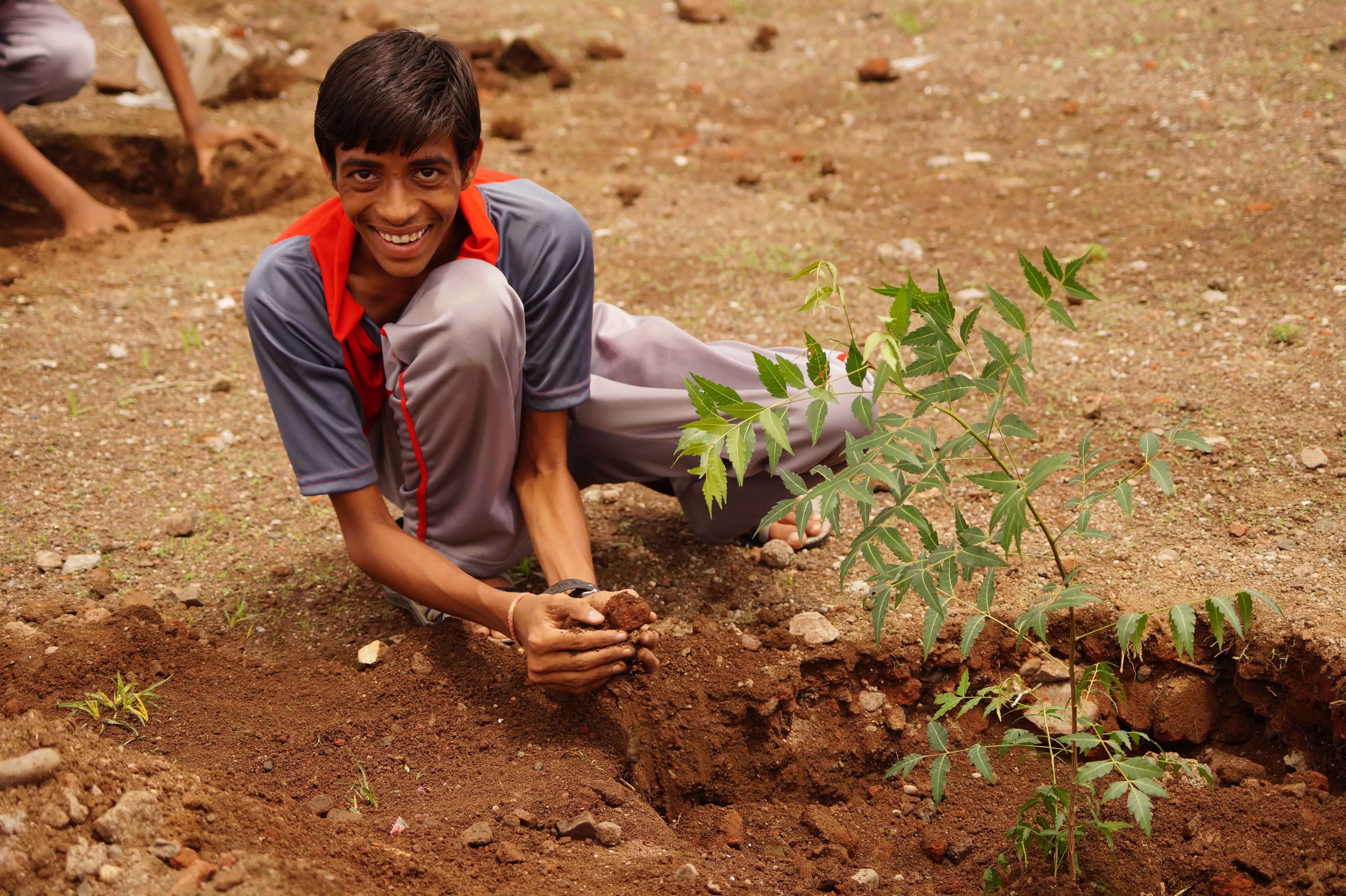 Tree Plantation Day